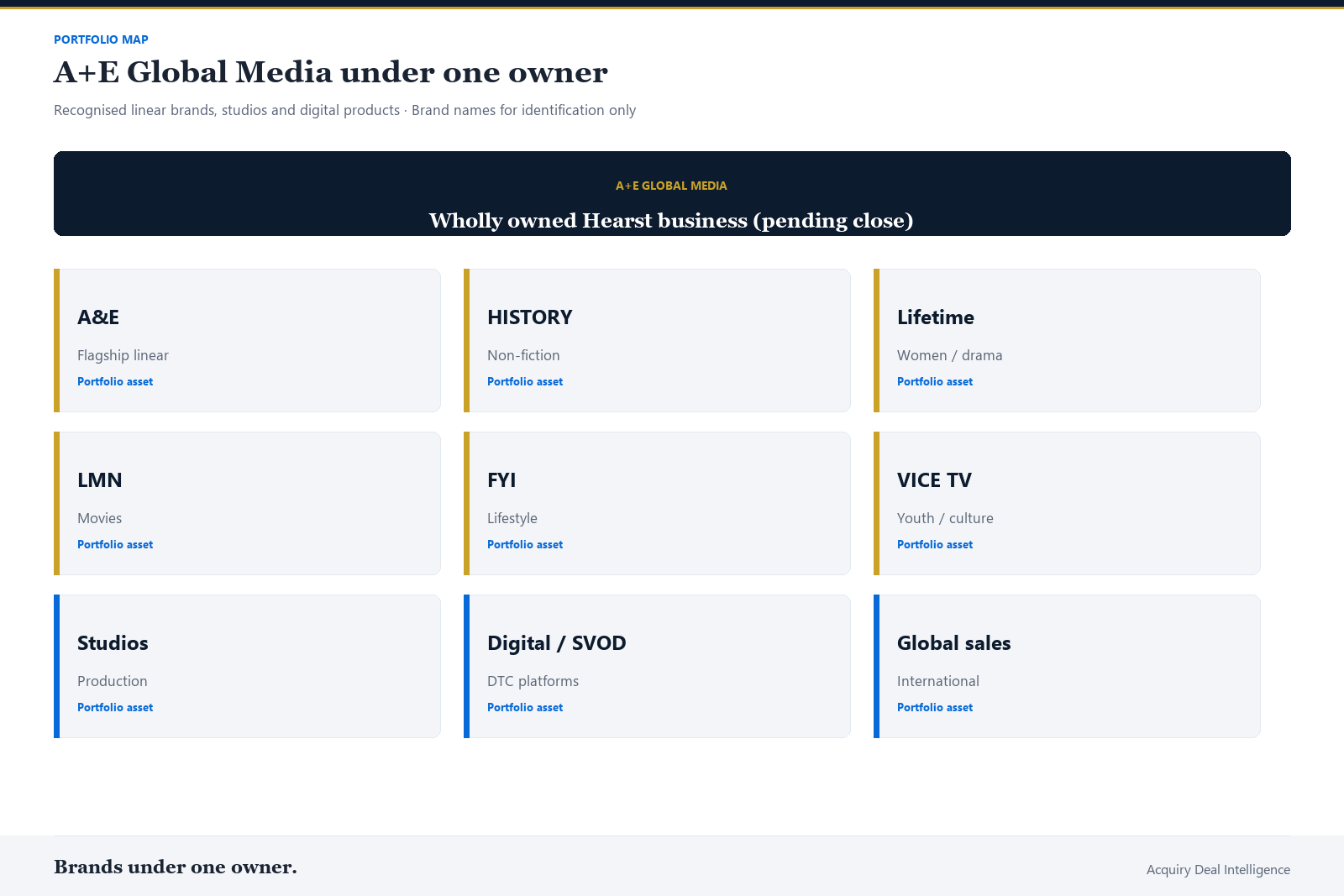 Corporate portfolio map of A+E Global Media brands: A&E, HISTORY, Lifetime, LMN, FYI, VICE TV, Studios, Digital/SVOD and Global sales under one Hearst owner pending close.
